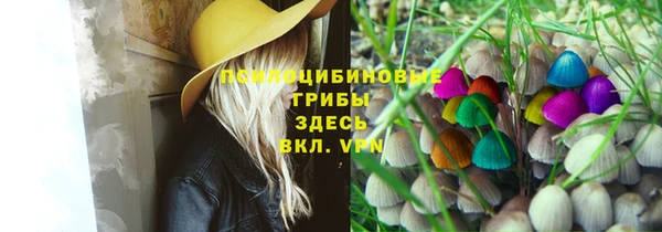 не бодяженный Балахна