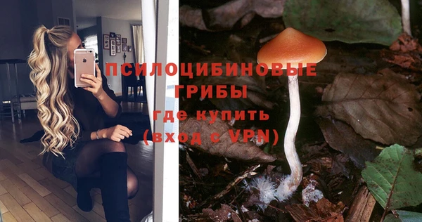 гашик Балабаново