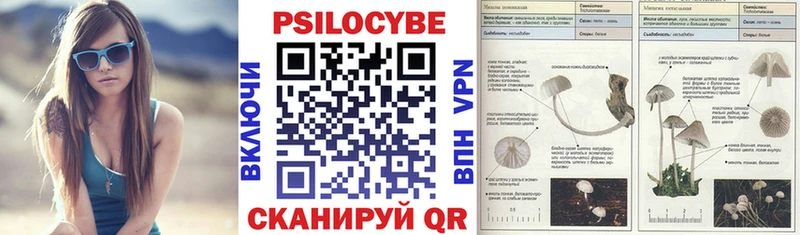 Псилоцибиновые грибы мицелий  Светогорск 